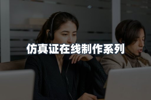 仿真证在线制作